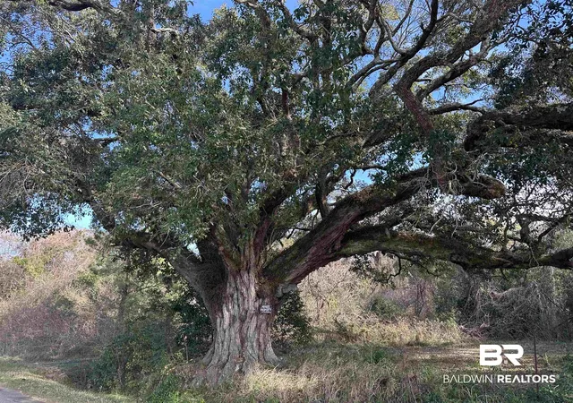 Photo 1 of Land for sale at 26702 W County Rd 54, Daphne, AL 36526 | MLS# 390277 | Listing updated on 2026-10-22