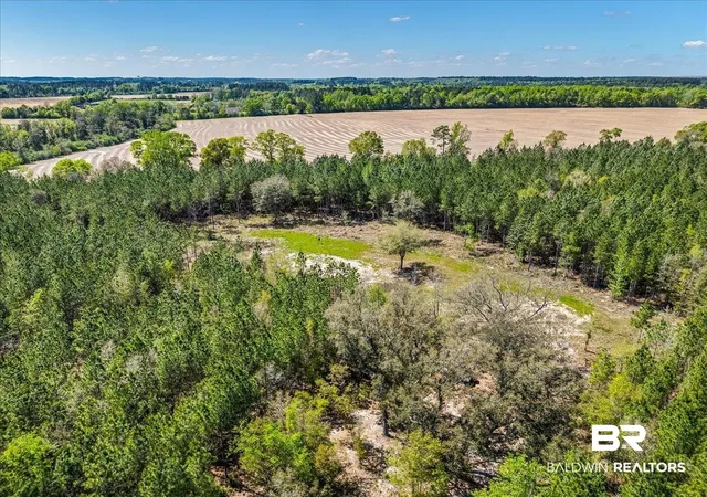 Photo 1 of Land for sale at 22544 Lechner Rd, Robertsdale, AL 36567 | MLS# 397210 | Listing updated on 2026-08-12