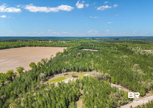 Photo 2 of Land for sale at 22544 Lechner Rd, Robertsdale, AL 36567 | MLS# 397210 | Listing updated on 2026-08-12