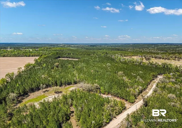 Photo 3 of Land for sale at 22544 Lechner Rd, Robertsdale, AL 36567 | MLS# 397210 | Listing updated on 2026-08-12