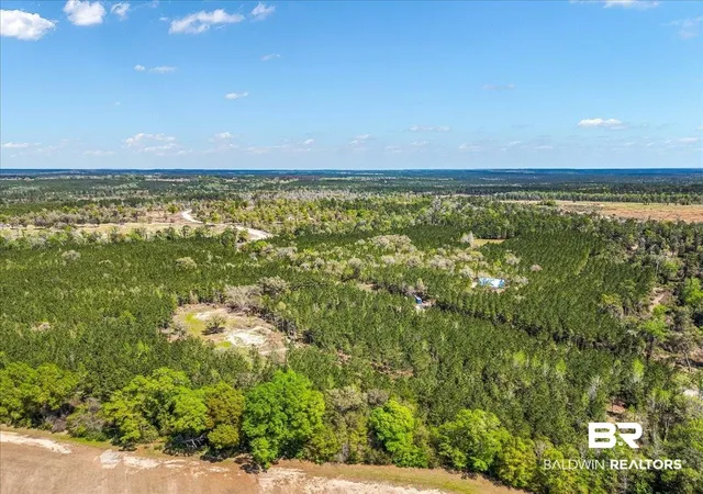 Photo 3 of Land for sale at 22544 Lechner Rd, Robertsdale, AL 36567 | MLS# 397210 | Listing updated on 2026-08-12