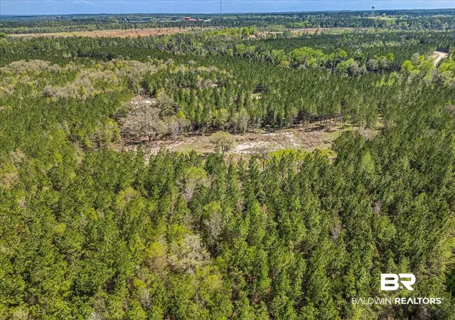 Photo 4 of Land for sale at 22544 Lechner Rd, Robertsdale, AL 36567 | MLS# 397210 | Listing updated on 2026-08-12