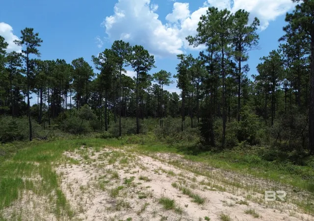 Homes for sale in Seminole, AL | 00 Kings Landing Road, Seminole, AL 36574 | MLS# 398766