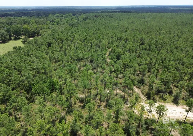Homes for sale in Seminole, AL | 00 Kings Landing Road, Seminole, AL 36574 | MLS# 398766