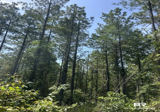 Photo 1 of Land for sale at 0 Martin Road;, Greensboro, AL 36744 | MLS# 407062 | Listing updated on 2026-08-17
