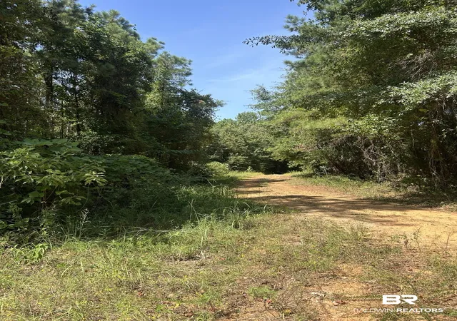 Photo 2 of Land for sale at 0 Martin Road;, Greensboro, AL 36744 | MLS# 407062 | Listing updated on 2026-08-17