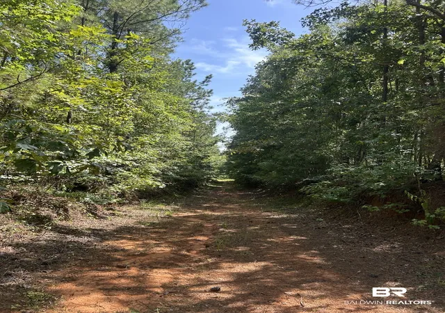 Photo 3 of Land for sale at 0 Martin Road;, Greensboro, AL 36744 | MLS# 407062 | Listing updated on 2026-08-17