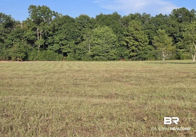 3rd image of 0 Williams, Atmore, AL 36502 | MLS# 407650