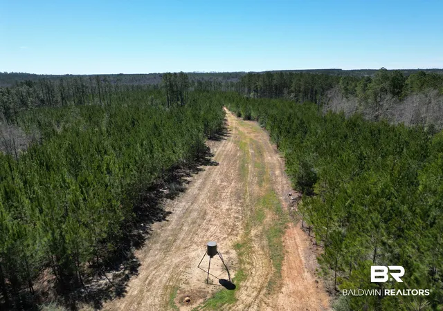 Photo 1 of Land for sale at 7 Robinsonville Rd, Atmore, AL 36502 | MLS# 375307 | Listing updated on 2026-08-02