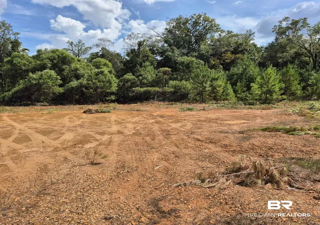 1st image of 0 W Front St, Evergreen, AL 36401 | MLS# 390326