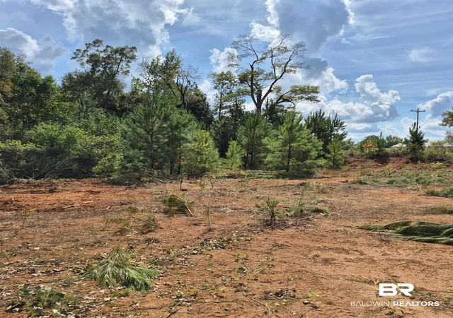3rd image of 0 W Front St, Evergreen, AL 36401 | MLS# 390326