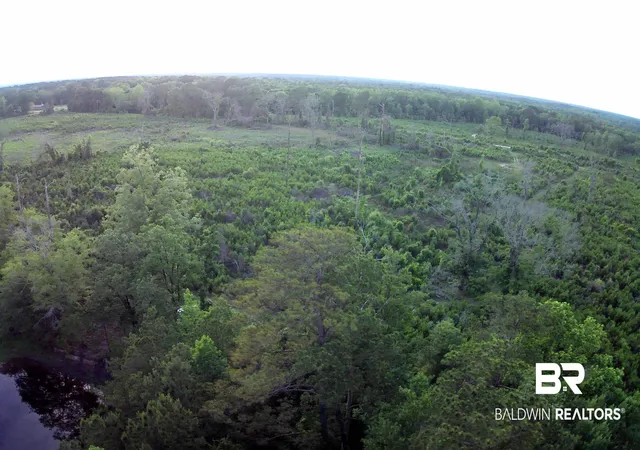 17th image of 000 Brooklyn Rd, Evergreen, AL 36401 | MLS# 397232