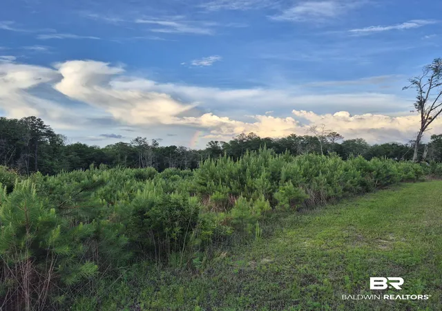 1st image of 000 Brooklyn Rd, Evergreen, AL 36401 | MLS# 397232