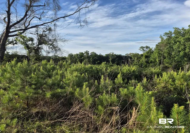 2nd image of 000 Brooklyn Rd, Evergreen, AL 36401 | MLS# 397232