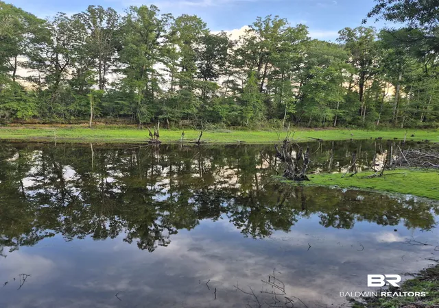 3rd image of 000 Brooklyn Rd, Evergreen, AL 36401 | MLS# 397232