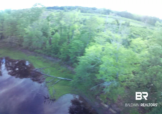 4th image of 000 Brooklyn Rd, Evergreen, AL 36401 | MLS# 397232