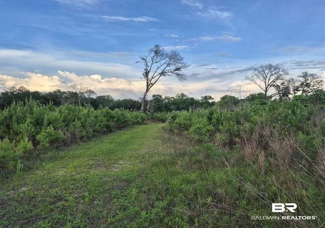5th image of 000 Brooklyn Rd, Evergreen, AL 36401 | MLS# 397232