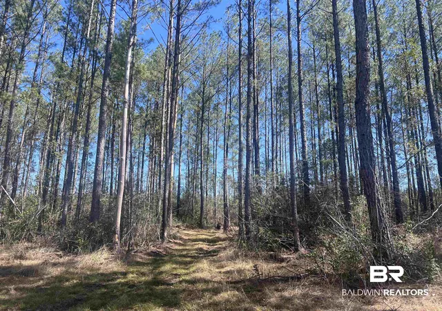 Photo 2 of Land for sale at 5 Robinsonville Road, Atmore, AL 36502 | MLS# 375309 | Listing updated on 2026-08-02