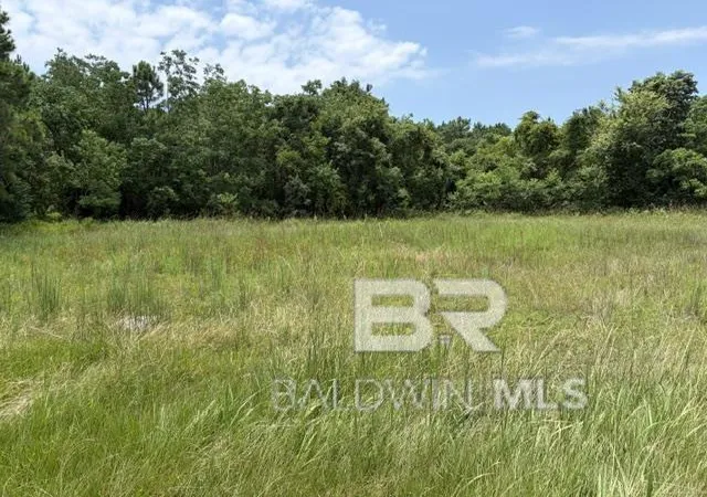 Homes for sale in Gulf Shores, AL | 16818 Patricia Dr, Gulf Shores, AL 36542 | MLS# 398886