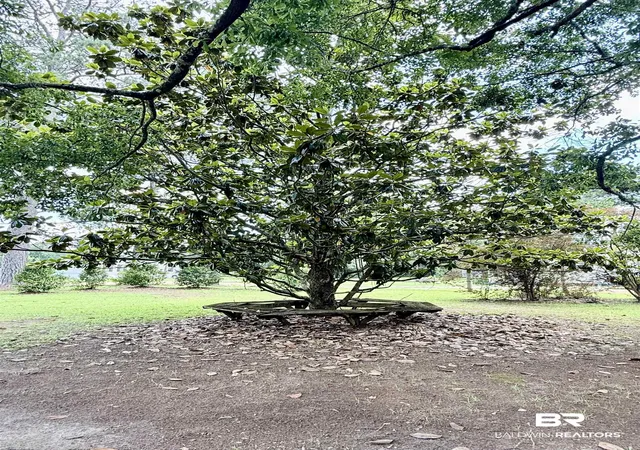 Photo 3 of Sale Pending at 190 Jaye Rd, Frisco City, AL 36445 | MLS# 397401 | Listing updated on 2026-10-06