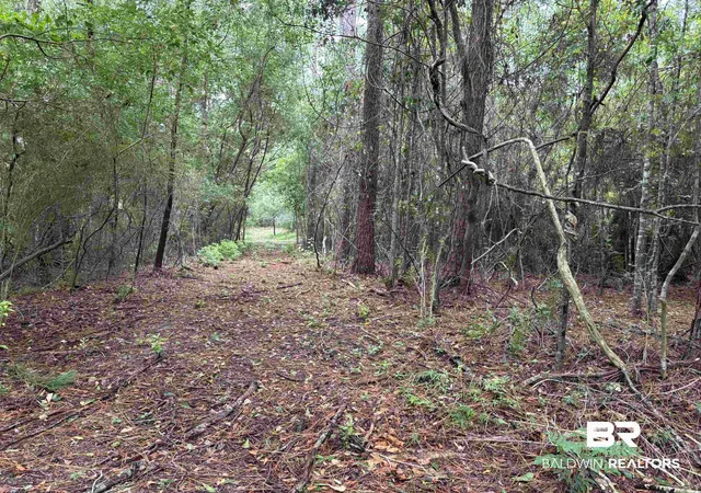 Photo 3 of Land for sale at Lot 9 County Rd 48, Robertsdale, AL 36567 | MLS# 399870 | Listing updated on 2026-09-22