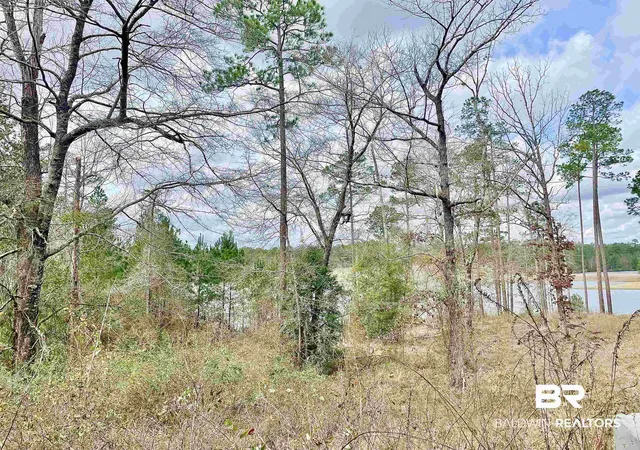 1st image of 0 Lake Juniper Rd, Brewton, AL 36426 | MLS# 358556