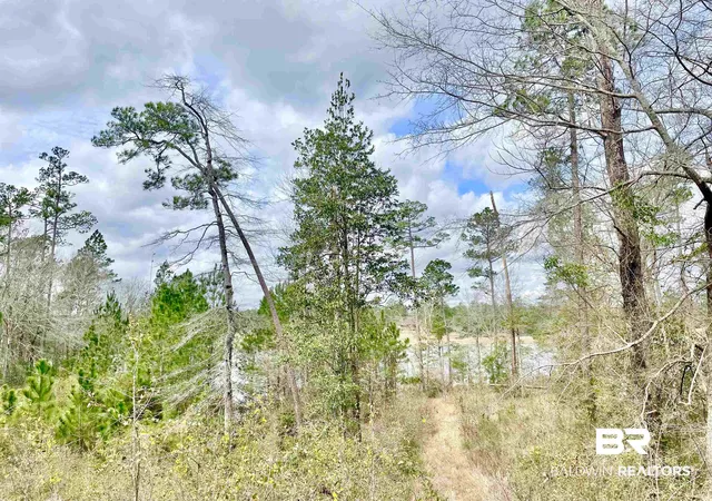 2nd image of 0 Lake Juniper Rd, Brewton, AL 36426 | MLS# 358556
