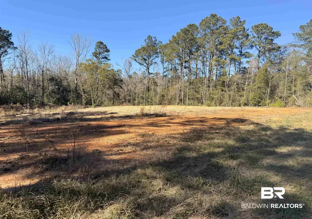 Photo 2 of Land for sale at 24979 Friendship Rd, Daphne, AL 36526 | MLS# 390345 | Listing updated on 2026-07-28