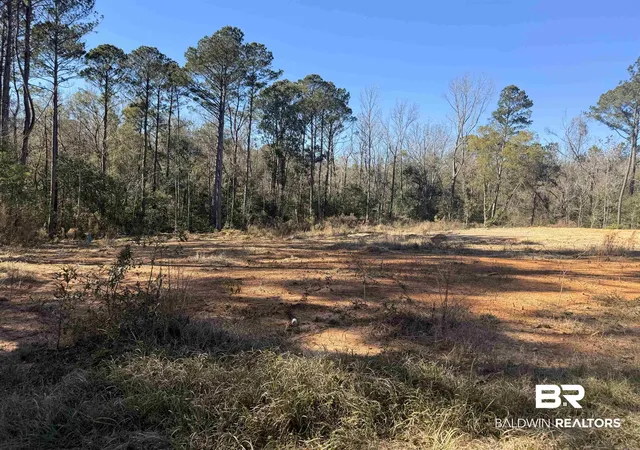 Photo 3 of Land for sale at 24979 Friendship Rd, Daphne, AL 36526 | MLS# 390345 | Listing updated on 2026-07-28