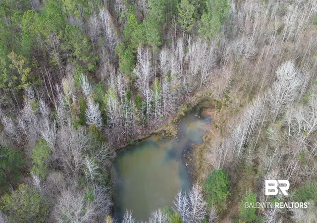 3rd image of 434 Highway 83, Evergreen, AL 36401 | MLS# 392549
