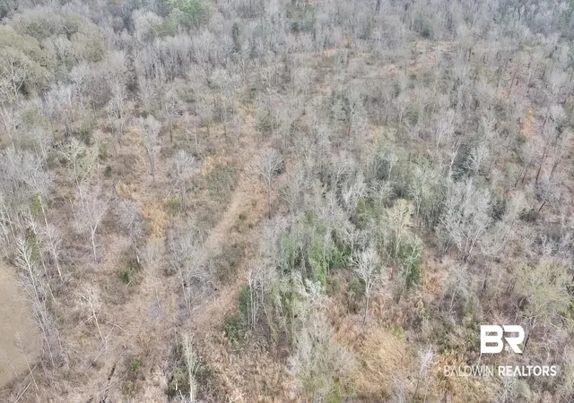 4th image of 52000 Block US Hwy 31, Perdido, AL 36562 | MLS# 372903