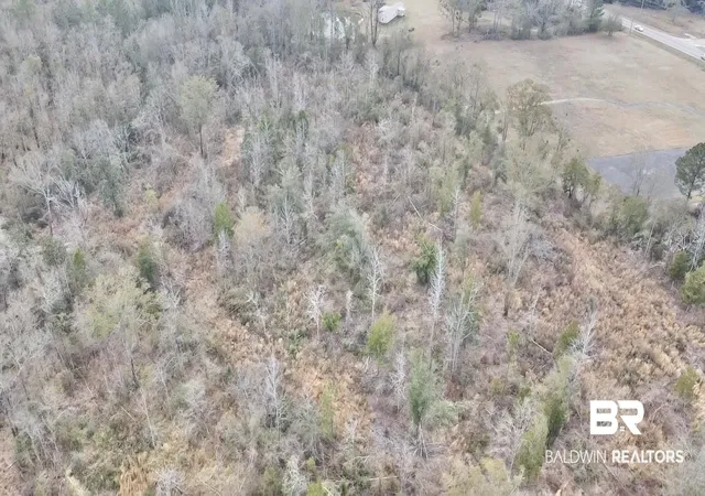 5th image of 52000 Block US Hwy 31, Perdido, AL 36562 | MLS# 372903