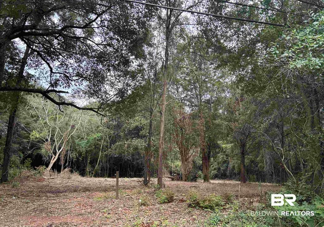 Land for sale at 229 East Dr, Mobile, AL 36608 | MLS# 395957
