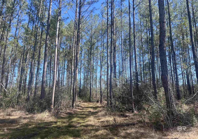Homes for sale in Atmore, AL | 04 Robinsonville Road, Atmore, AL 36502 | MLS# 378526