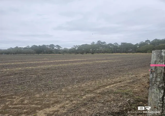 Photo 3 of Land for sale at 23111 Harden Ln, Summerdale, AL 36580 | MLS# 388858 | Listing updated on 2026-07-24