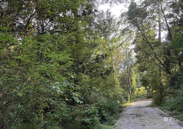 Homes for sale in Magnolia Springs, AL | 162 Acres Sweet Magnolia Lane, Magnolia Springs, AL 36555 | MLS# 398858