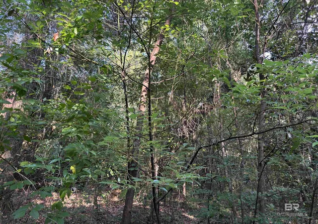 Homes for sale in Magnolia Springs, AL | 162 Acres Sweet Magnolia Lane, Magnolia Springs, AL 36555 | MLS# 398858