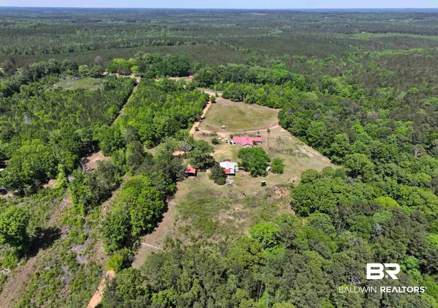 20th image of 99 Johnston Ln, Evergreen, AL 36401 | MLS# 395772