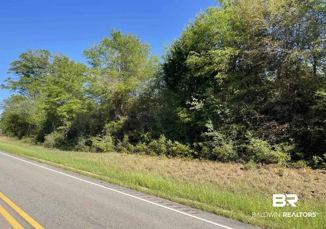 3rd image of 0 Hwy 31, Evergreen, AL 36401 | MLS# 360876