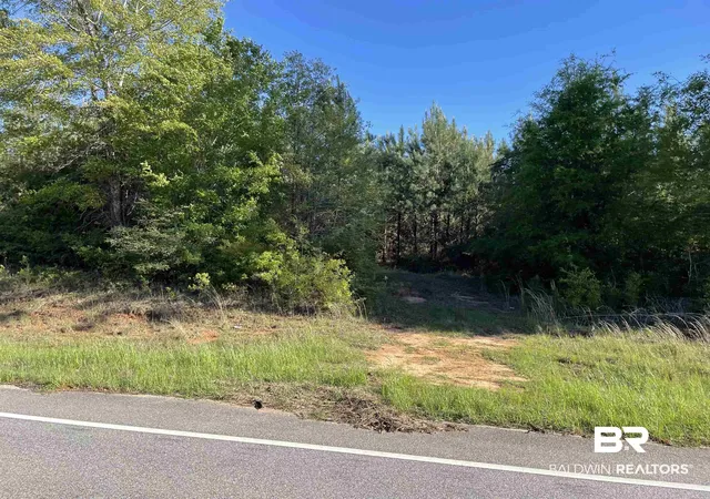 4th image of 0 Hwy 31, Evergreen, AL 36401 | MLS# 360876