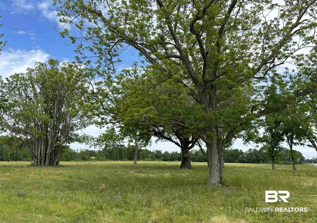 Photo 2 of Land for sale at 19127 Highway 59, Summerdale, AL 36580 | MLS# 392856 | Listing updated on 2026-08-12
