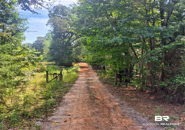 3rd image of 87 Settle Rd, Frisco City, AL 36445 | MLS# 409615
