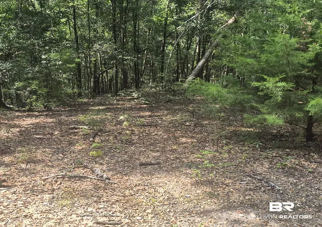 53rd image of 87 Settle Rd, Frisco City, AL 36445 | MLS# 409615