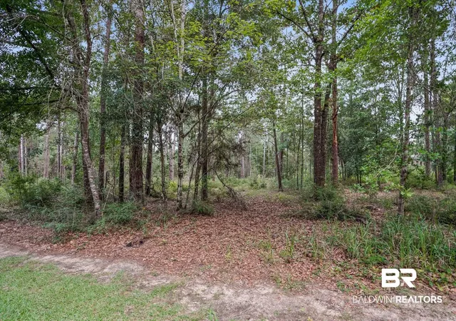 15th image of 0 W Water View Dr, Loxley, AL 36551 | MLS# 397503