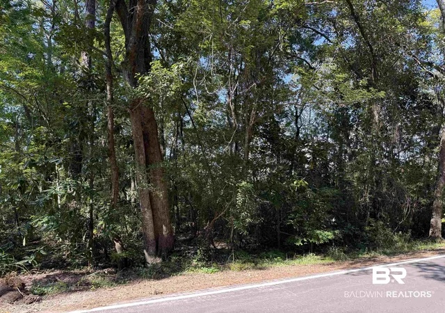 Photo 2 of Land for sale at 0 Higgins Rd, Mobile, AL 36619 | MLS# 384060 | Listing updated on 2026-08-18