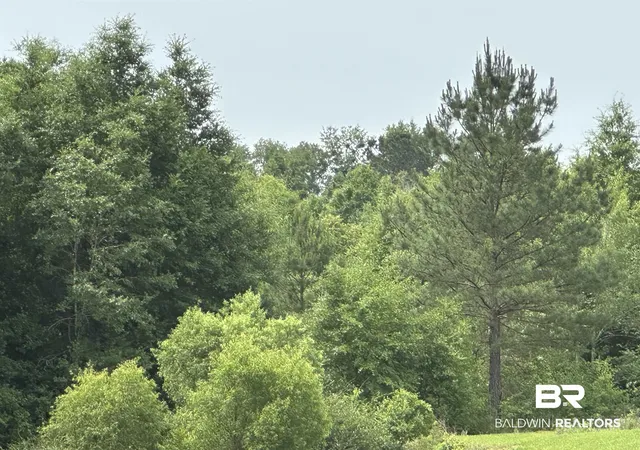 Photo 1 of Land for sale at 0 E County Rd 54, Daphne, AL 36526 | MLS# 396413 | Listing updated on 2026-08-06