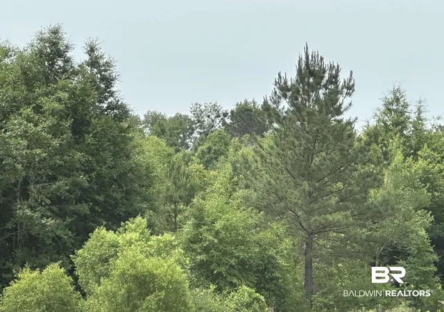 Photo 2 of Land for sale at 0 E County Rd 54, Daphne, AL 36526 | MLS# 396413 | Listing updated on 2026-08-06