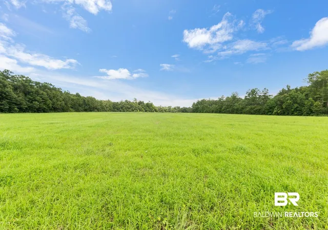 Photo 2 of Land for sale at 0 West Blvd, Silverhill, AL 36576 | MLS# 398871 | Listing updated on 2026-07-24