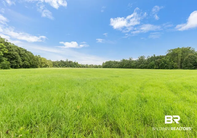 Photo 2 of Land for sale at 0 West Blvd, Silverhill, AL 36576 | MLS# 398871 | Listing updated on 2026-07-24