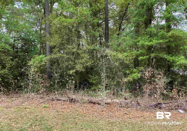 2nd image of 0 Frazier St, Brewton, AL 36426 | MLS# 394820